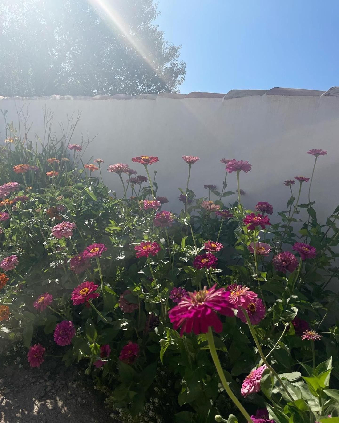 Cortijo El Prado L Villa Castril Kültér fotó